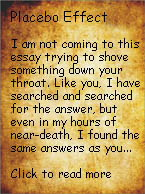 Palacebo By Adrian Fox. Irish Poet